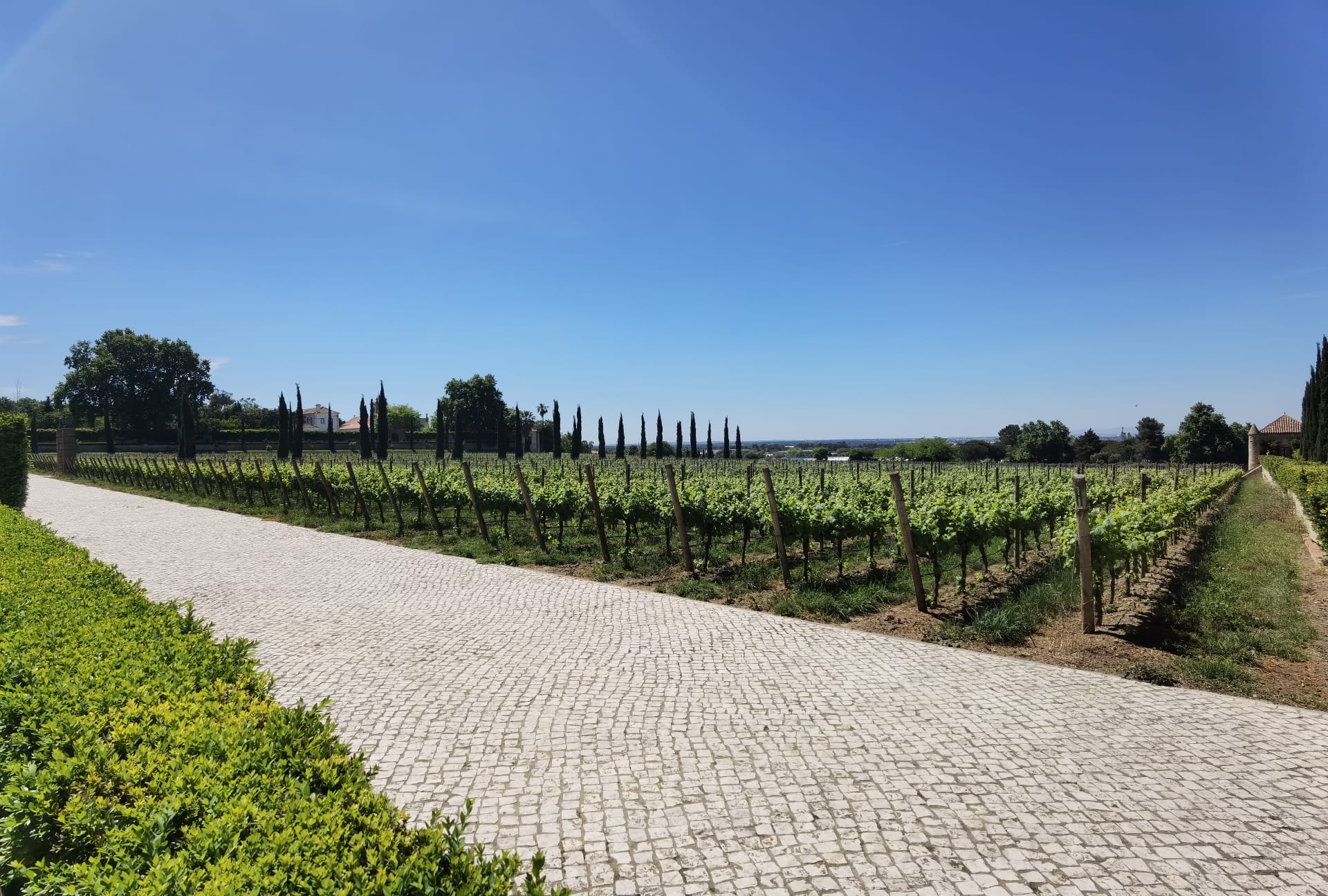 WINE AND NATURE TOUR