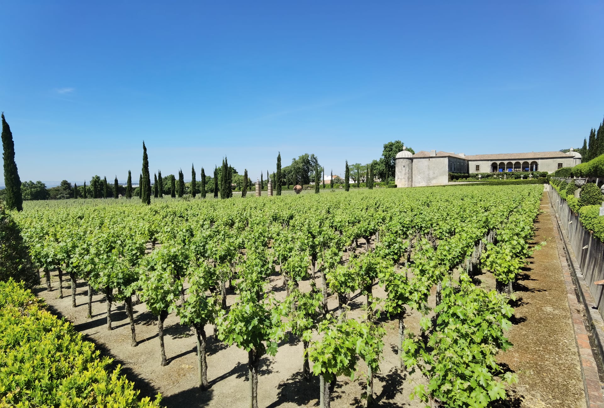 WINE AND NATURE TOUR